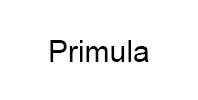 Ремонт кофемашины модели Primula в Ступино Ремонт кофемашин Primula